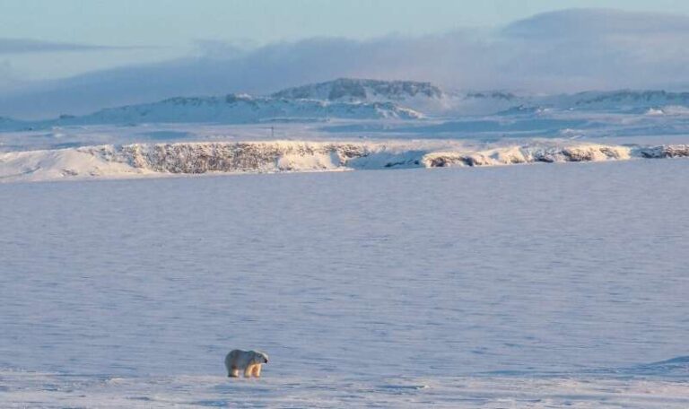 Ученые: Арктика нагревается в три раза быстрее остальной планеты