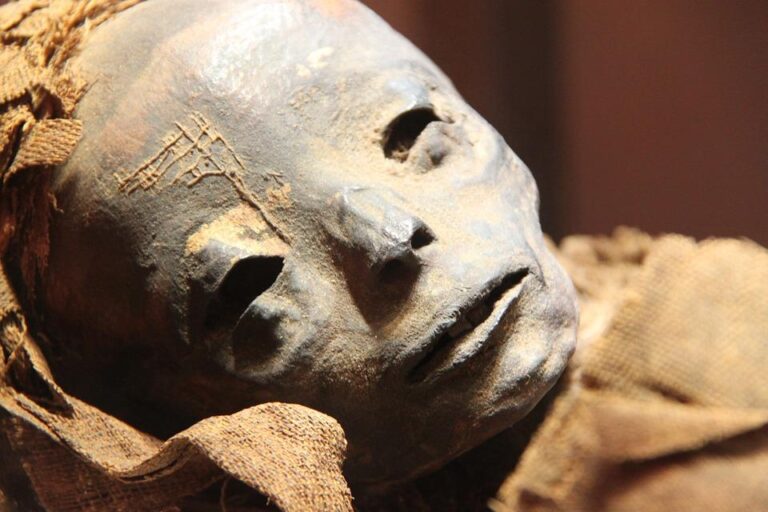 Фараоны из Европы. Ученые проанализировали ДНК ста египетских мумий