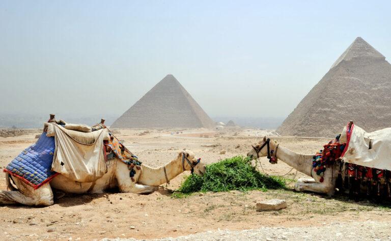 Полюбоваться египетскими Пирамидами можно будет за рубли