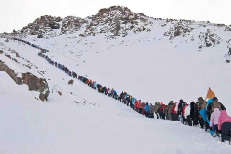 Более 500 человек приняли участие в массовом восхождении на вершину Рай-Из на Ямале