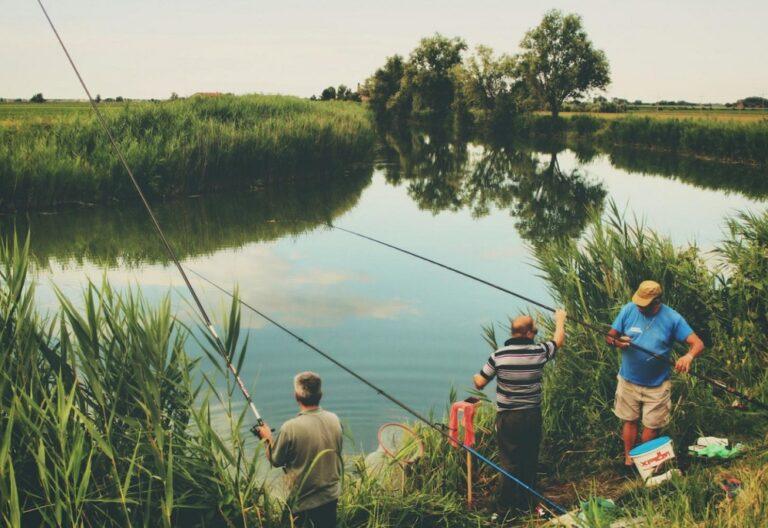 Определены лучшие места для рыбалки в России