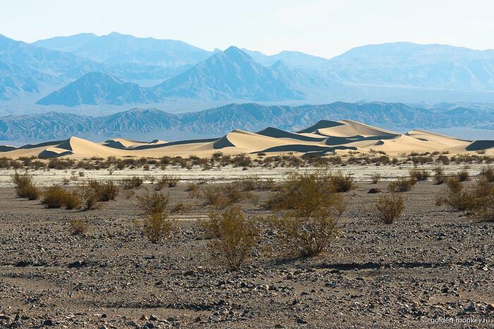В Неваде тысячи гостей фестиваля Burning Man были заблокированы в пустыне