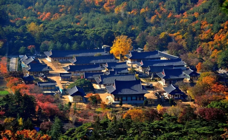 Путешествие всей жизни: едем в Кванджу и регион Чолла в Южной Корее