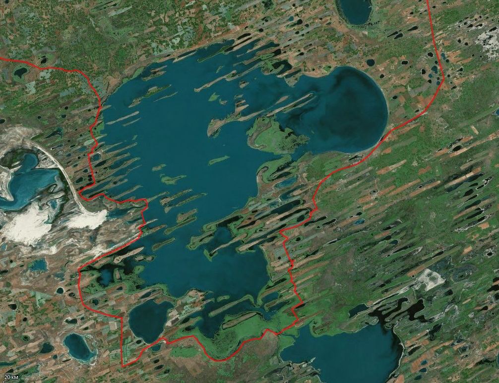 Озеро Чаны. Озеро Чаны Новосибирская область. Озеро Чаны Новосибирская область спутниковая. Западная Сибирь озеро Чаны. Озере чаны название островов
