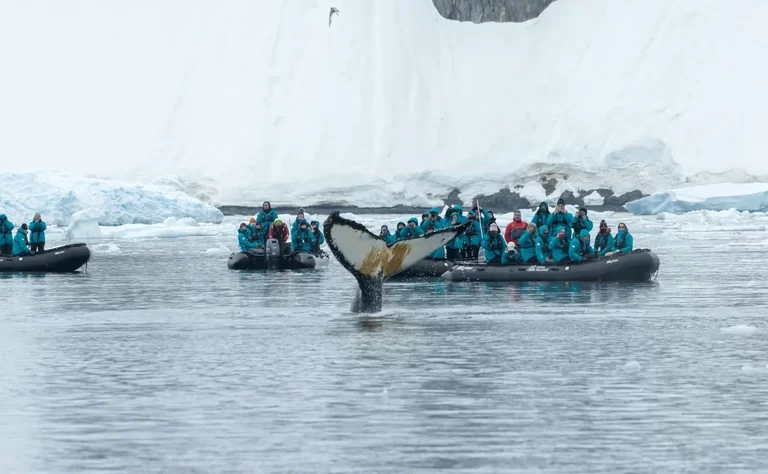 Туроператоры предложили пакетный вариант экспедиционных круизов в Антарктиду, Южную Америку или Африку